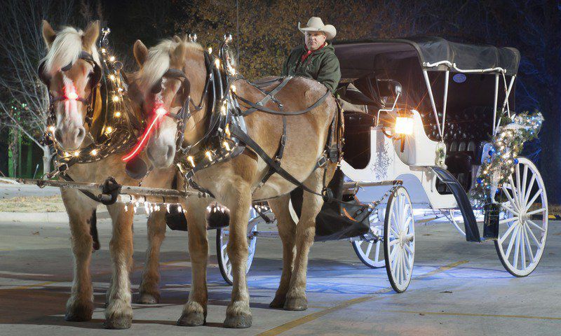 Five Things to Know: Wintersmith Park Trail of Lights